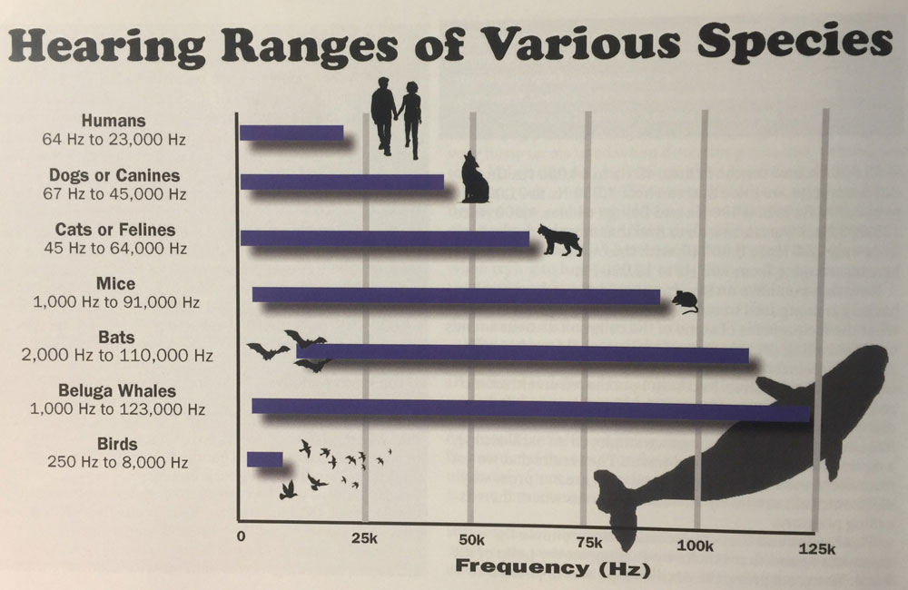 animal hearing ranges