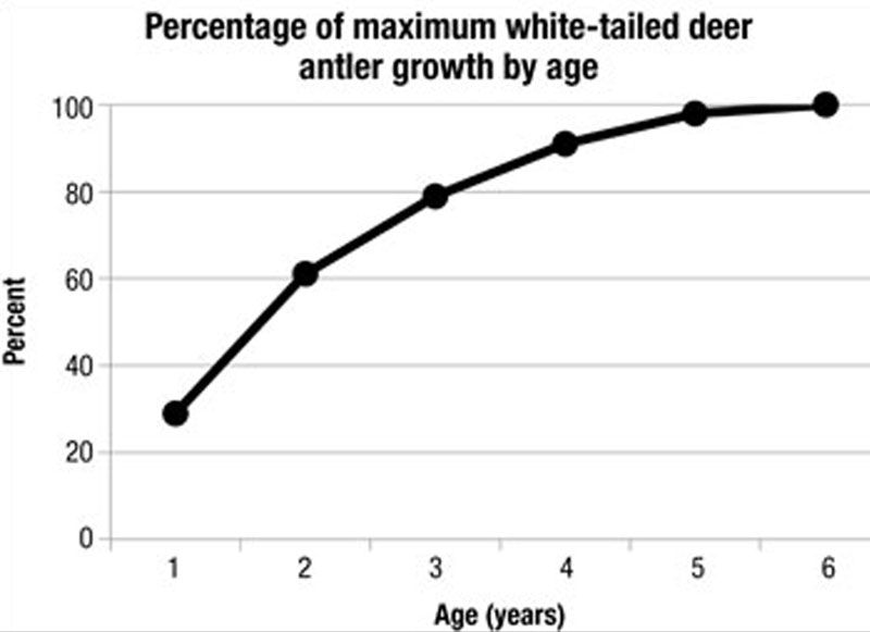 antler growth chart