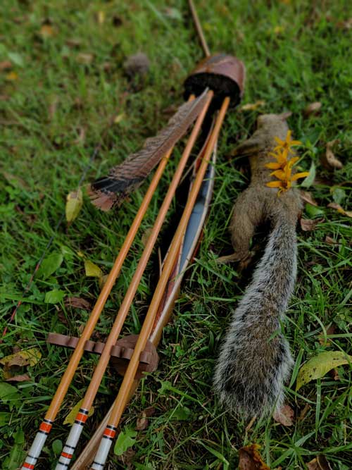 Bowhunting squirrel