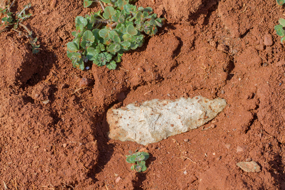 arrowhead in dirt