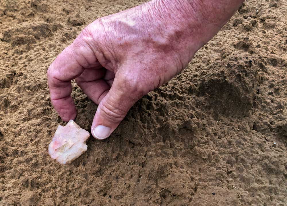 arrowhead in wet dirt