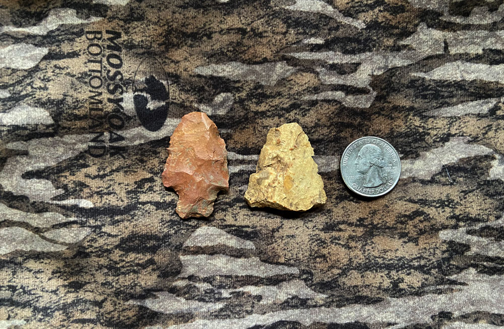 arrowhead size comparison