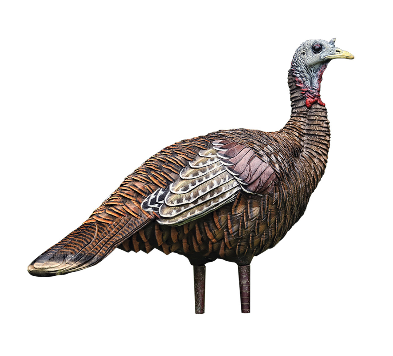 hen decoy