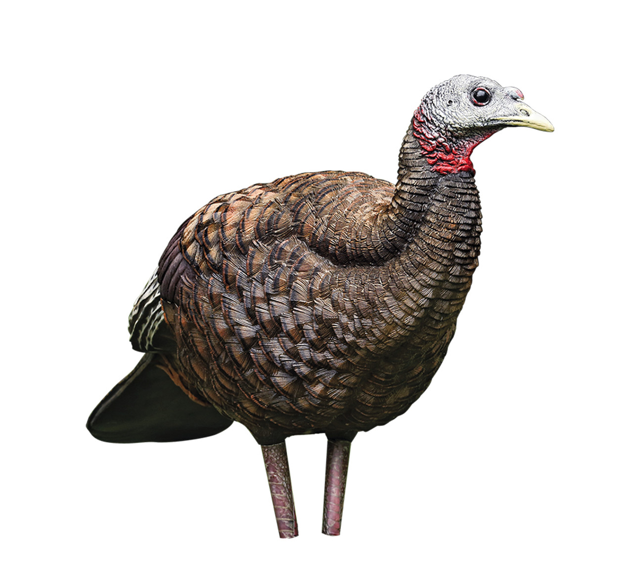 decoy hen