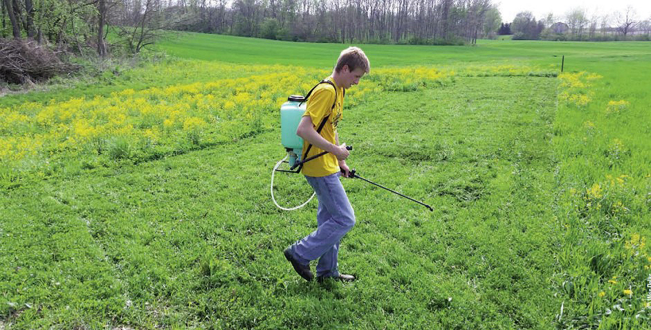 backpack spraying field
