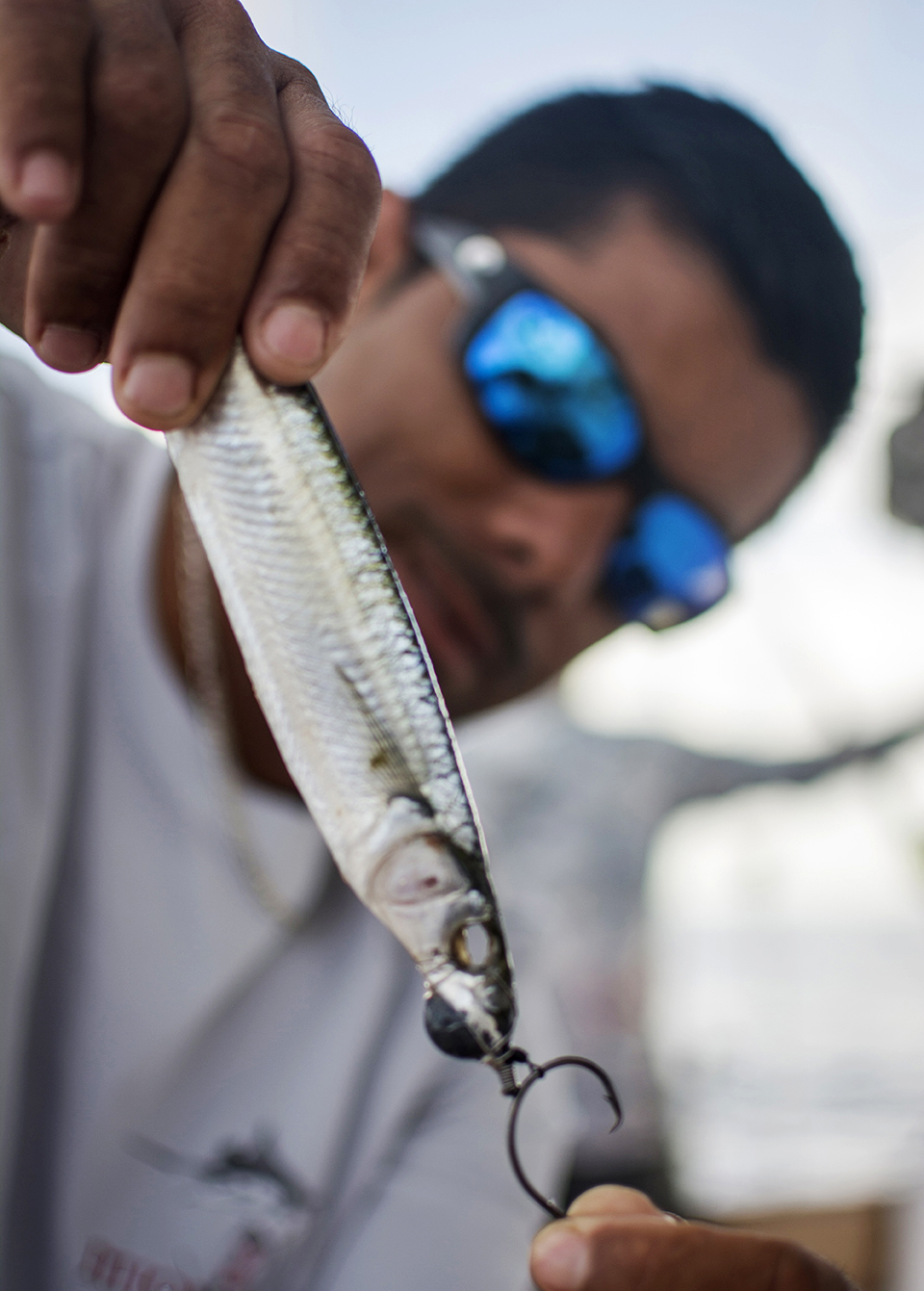 a closeup of bait that is hooked by a circle hook