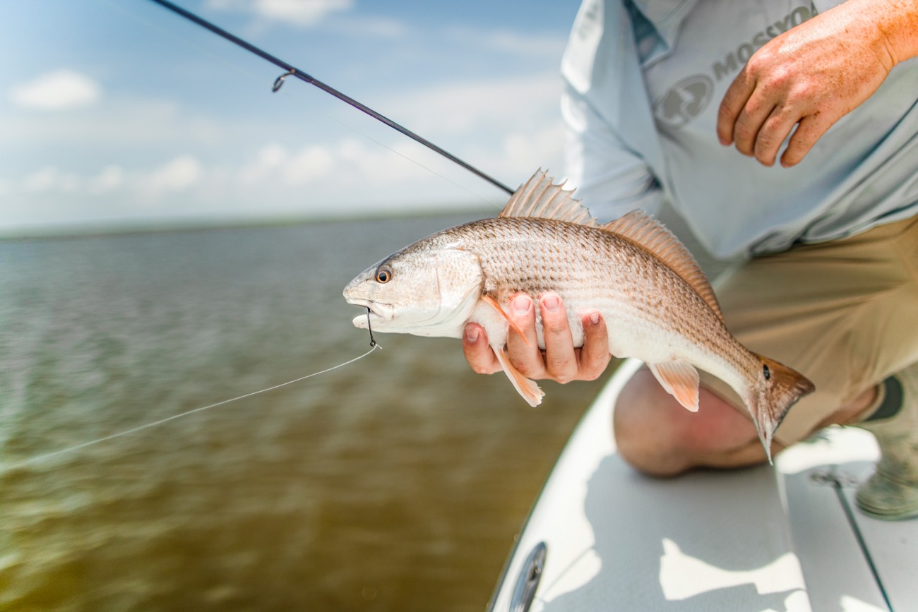 If you can catch largemouth bass, you can catch redfish in the Carolinas