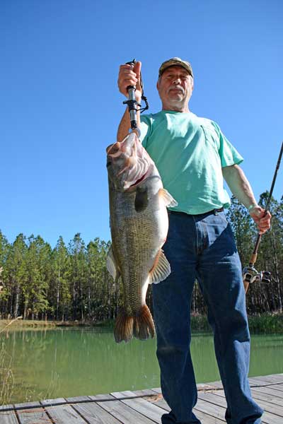 Forage Fish for Trophy Bass Pond Management