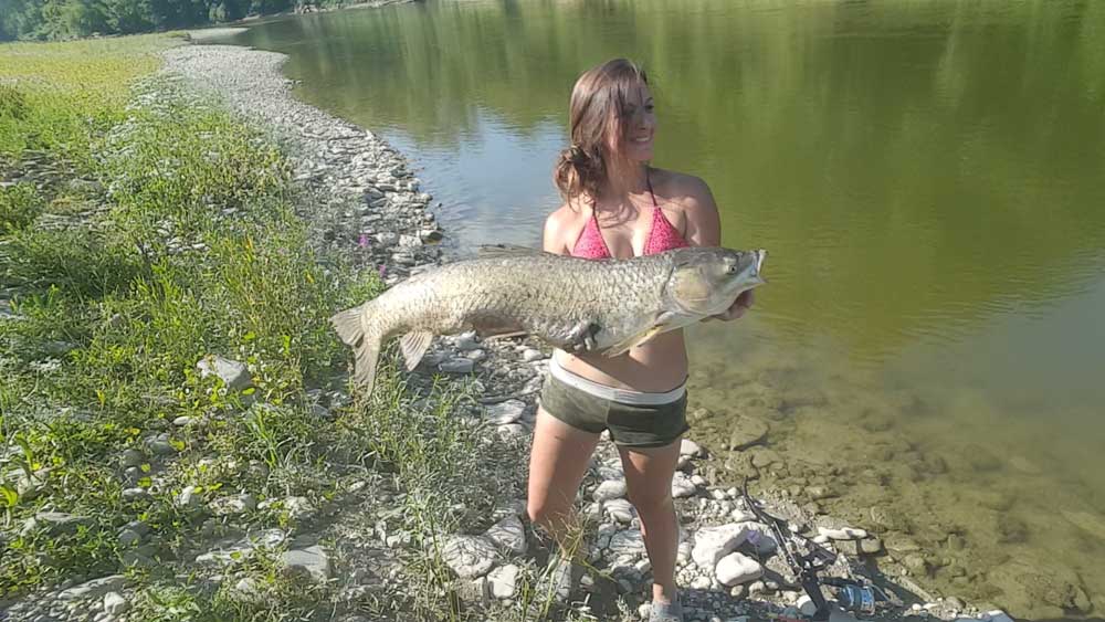 big carp bowfishing