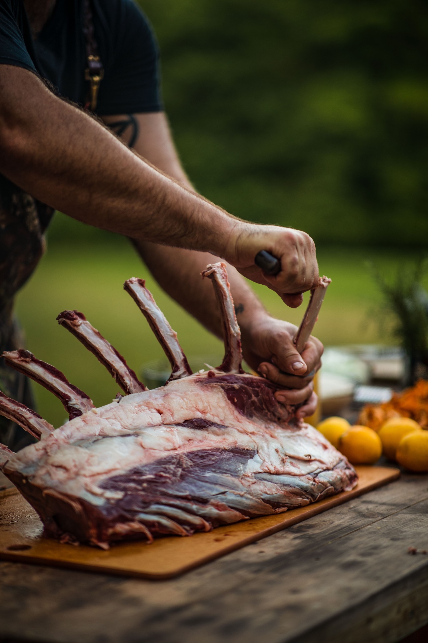 raw bison ribs still connected