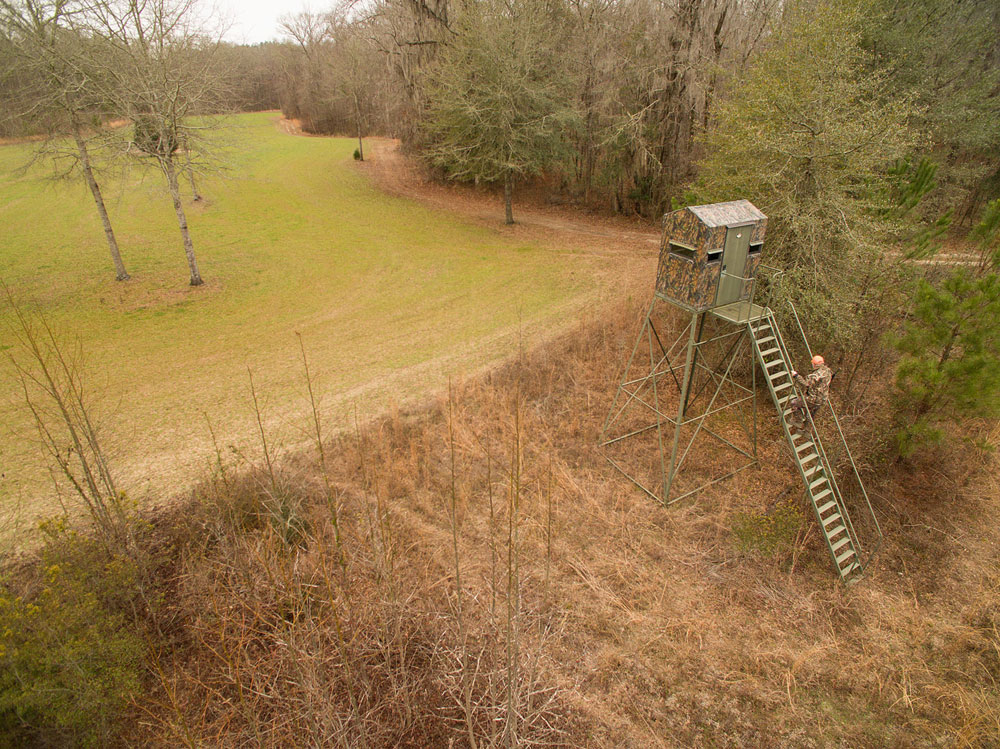 blind on food plot