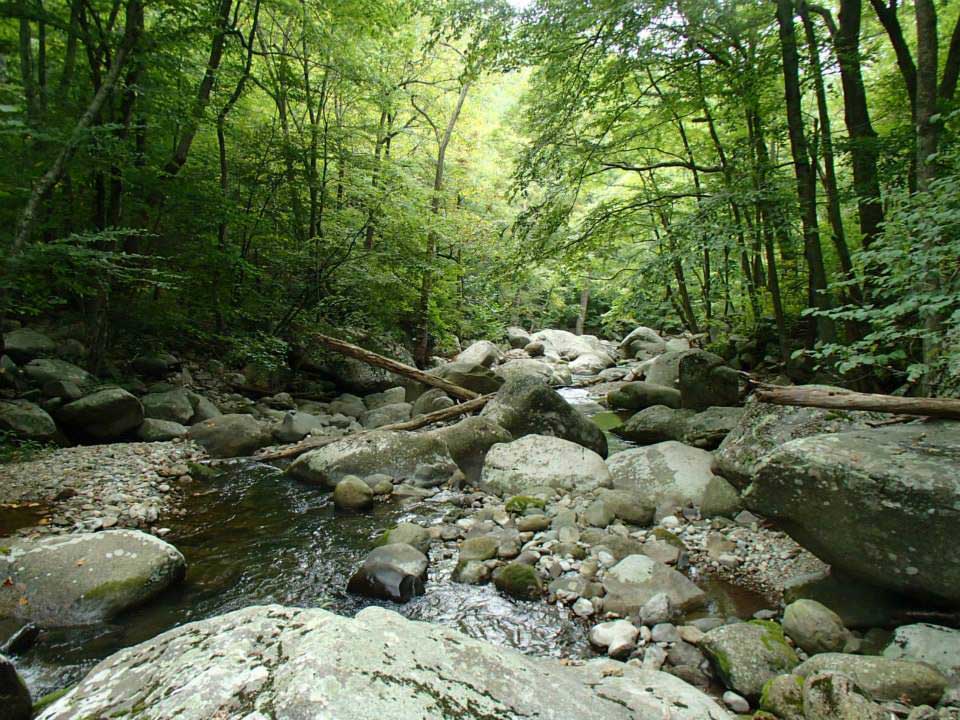 Blue Ridge trout stream