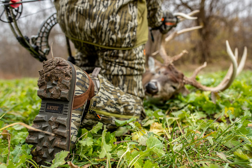 bow buck on green field