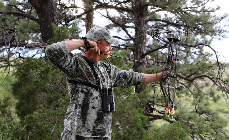 bowhunting elk