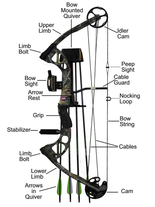 compound bow diagram