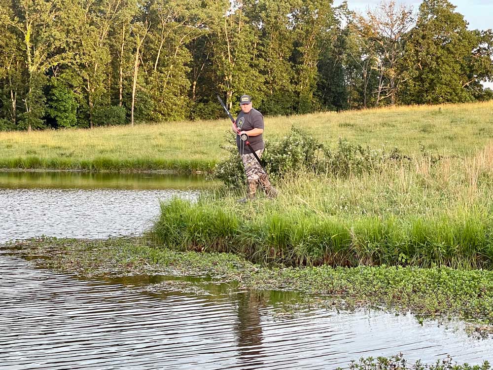 Jigging And Gigging Bullfrog Tadpoles Frog' Sticker