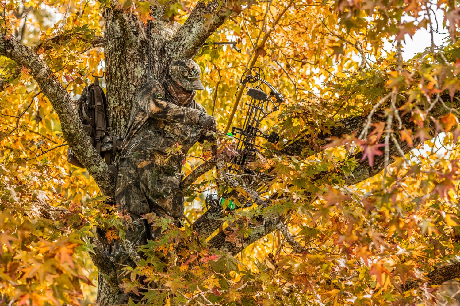 October bow scene
