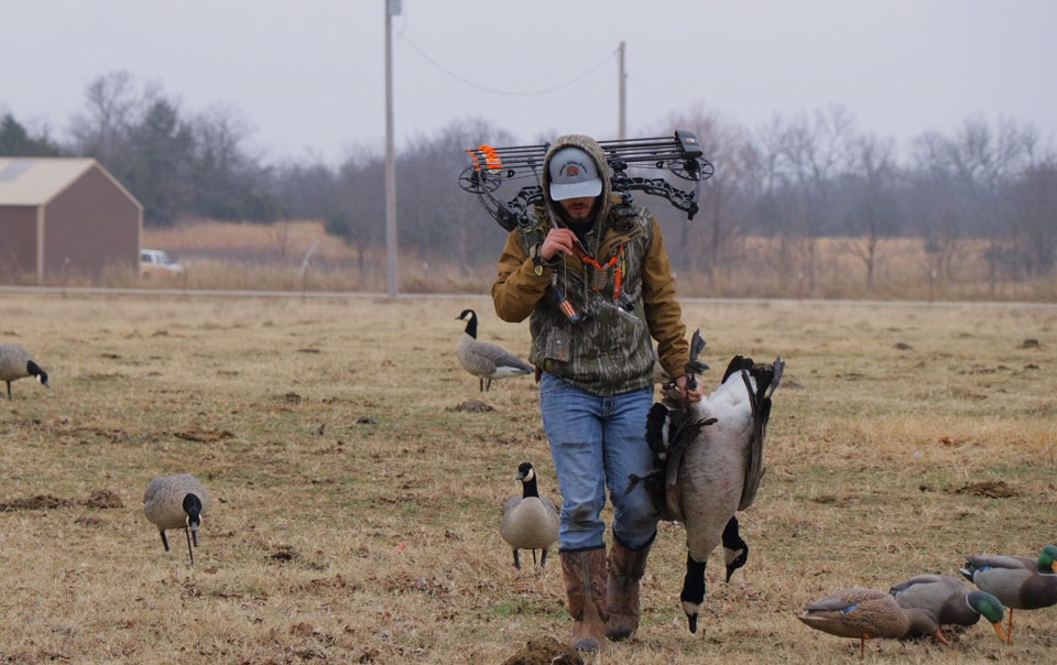 bowhunting geese