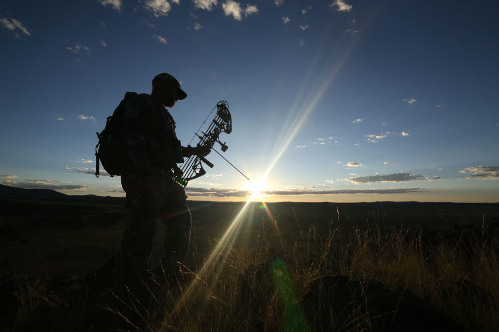 bowhunting elk