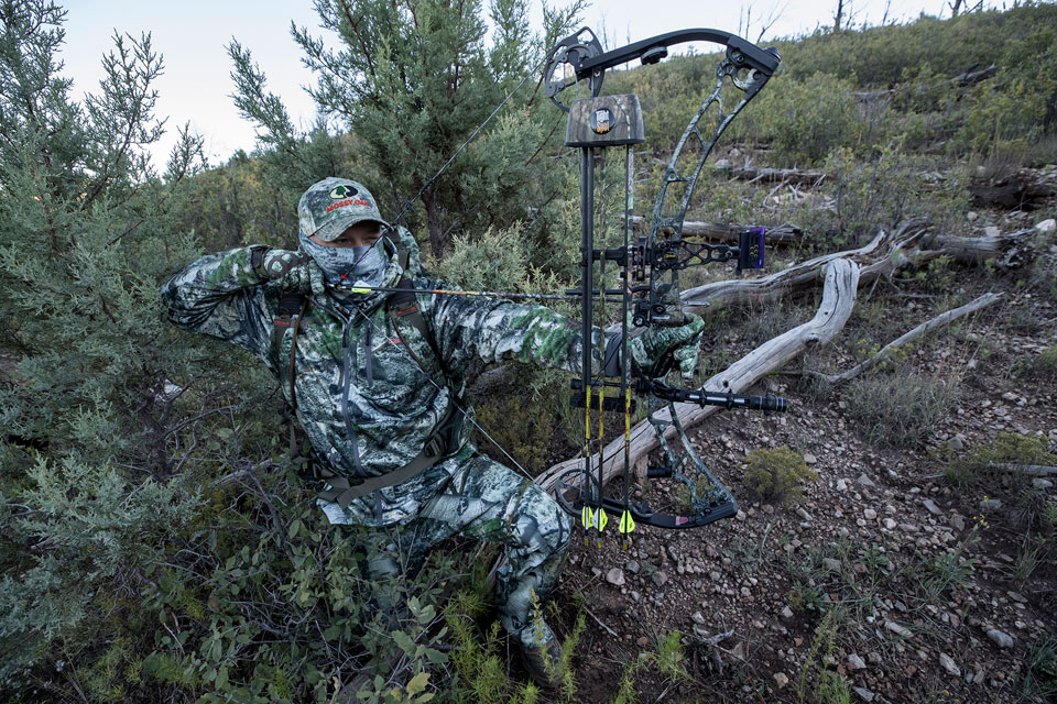 bowhunting aim