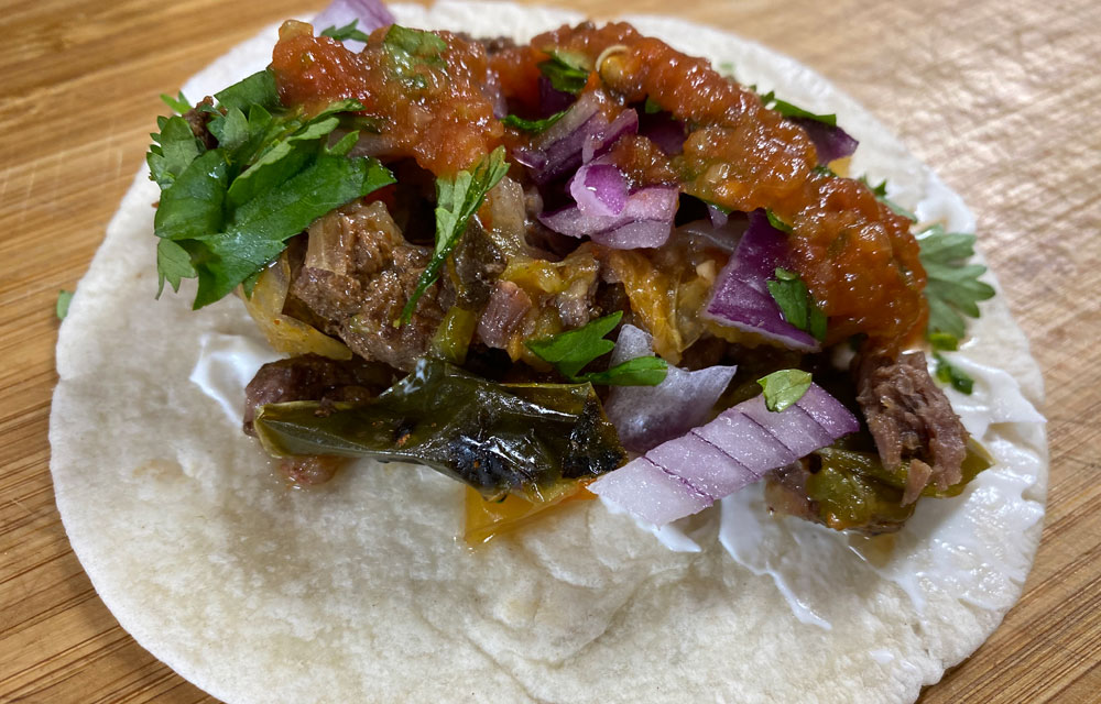 braised elk taco