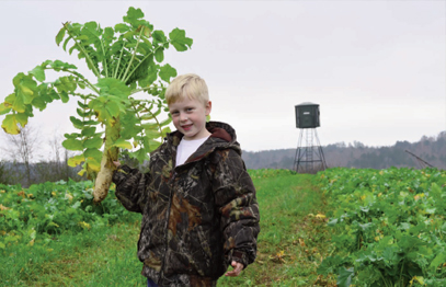 brassica