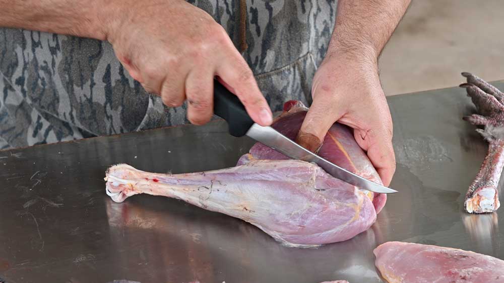 breaking down a wild turkey leg