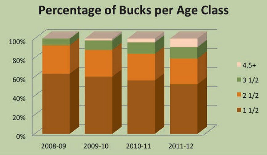 buck age class graph
