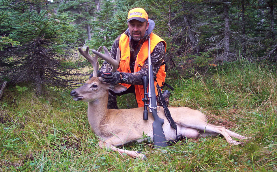 rounded deer antlers