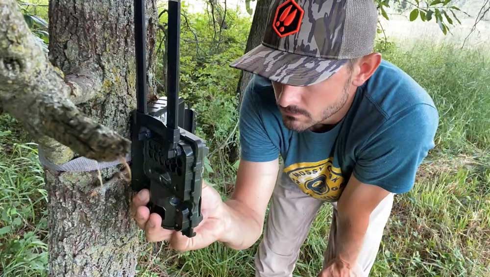 checking trail camera