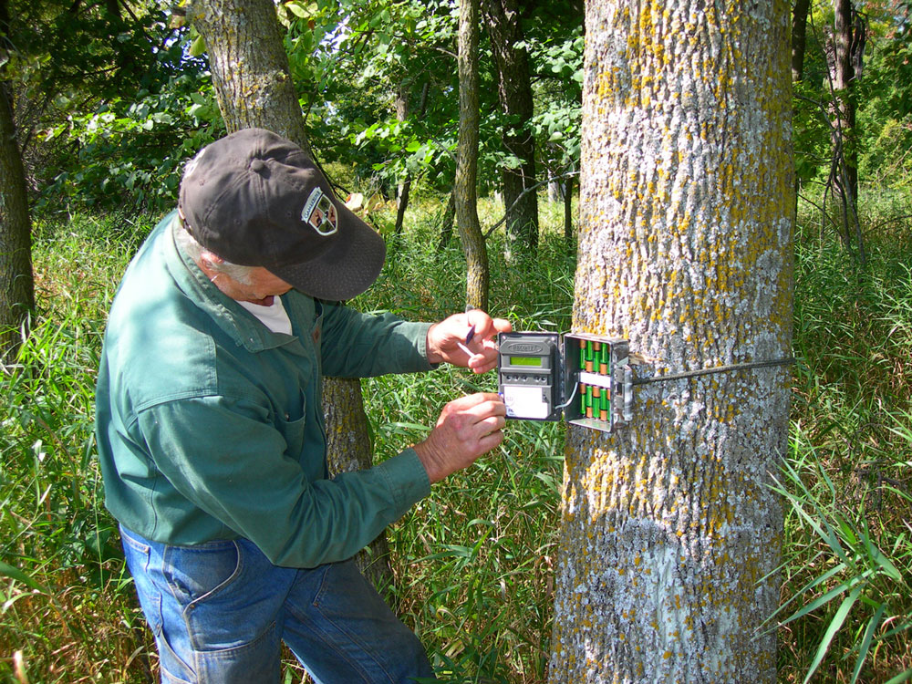 checking game camera