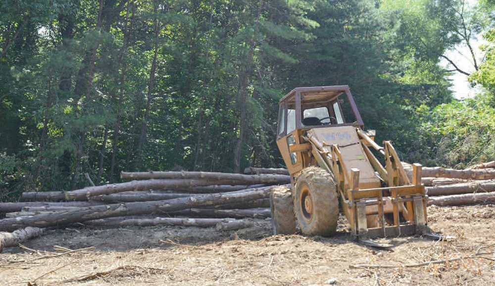 clear cutting timber