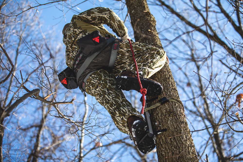 climbing tree saddle