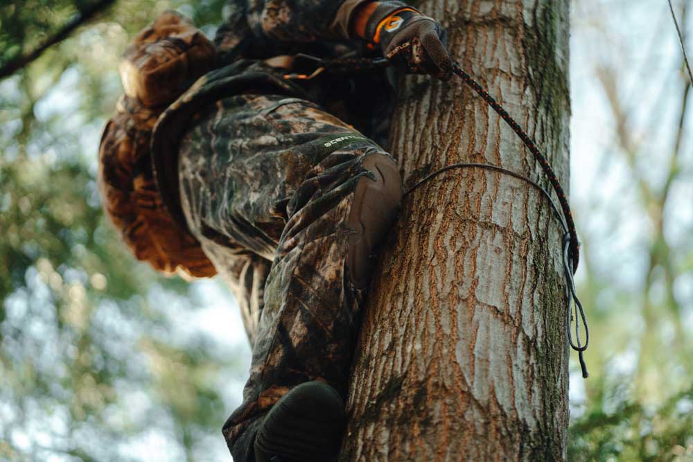 climbing tree saddle