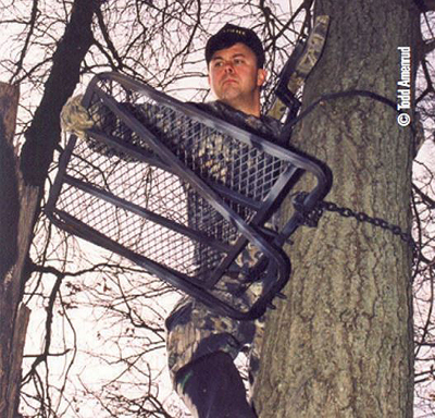 climbing tree stand