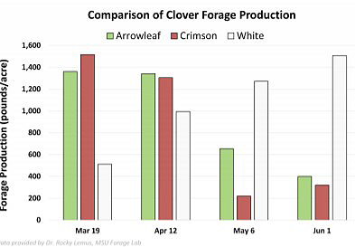 clover forage graph