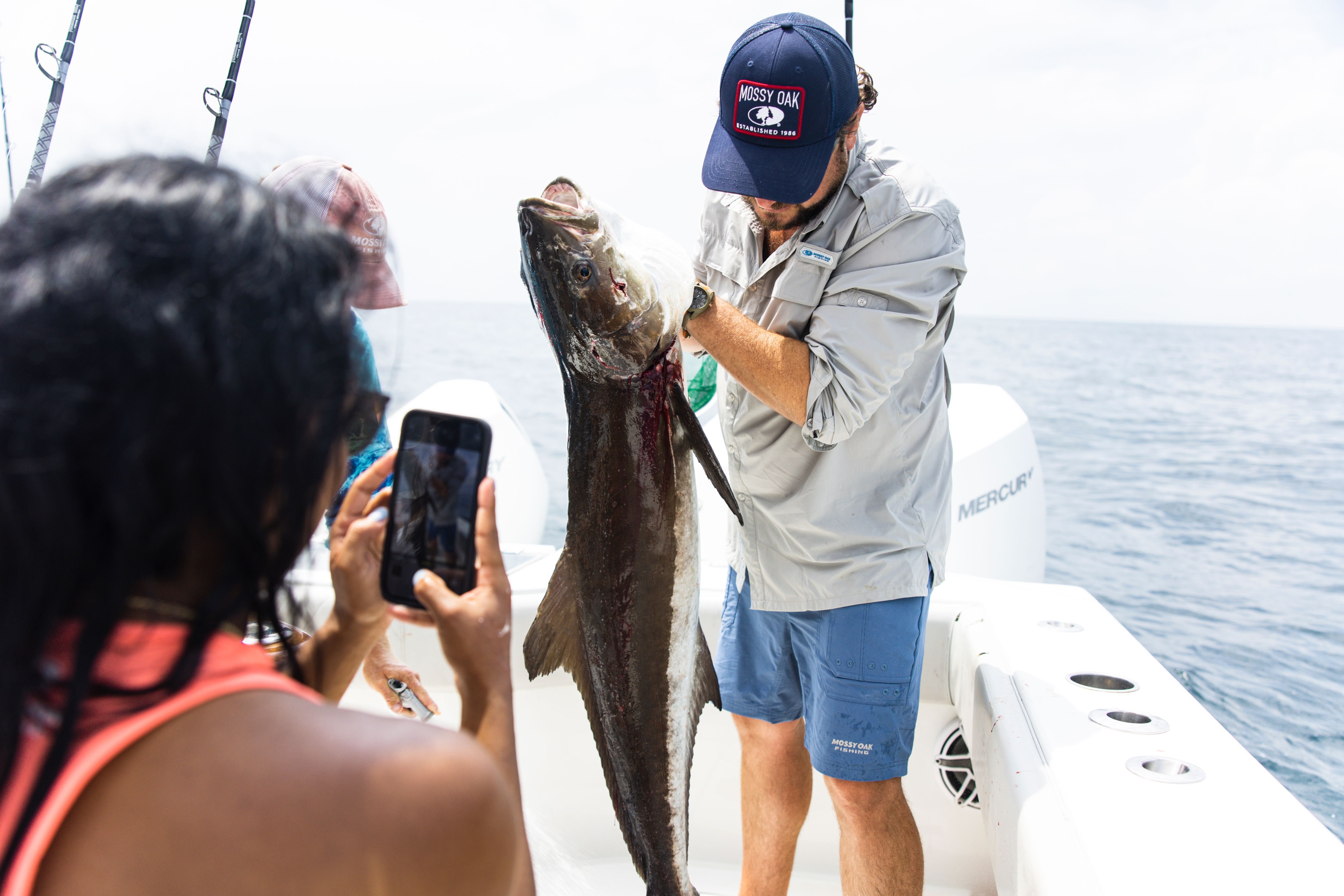cobia