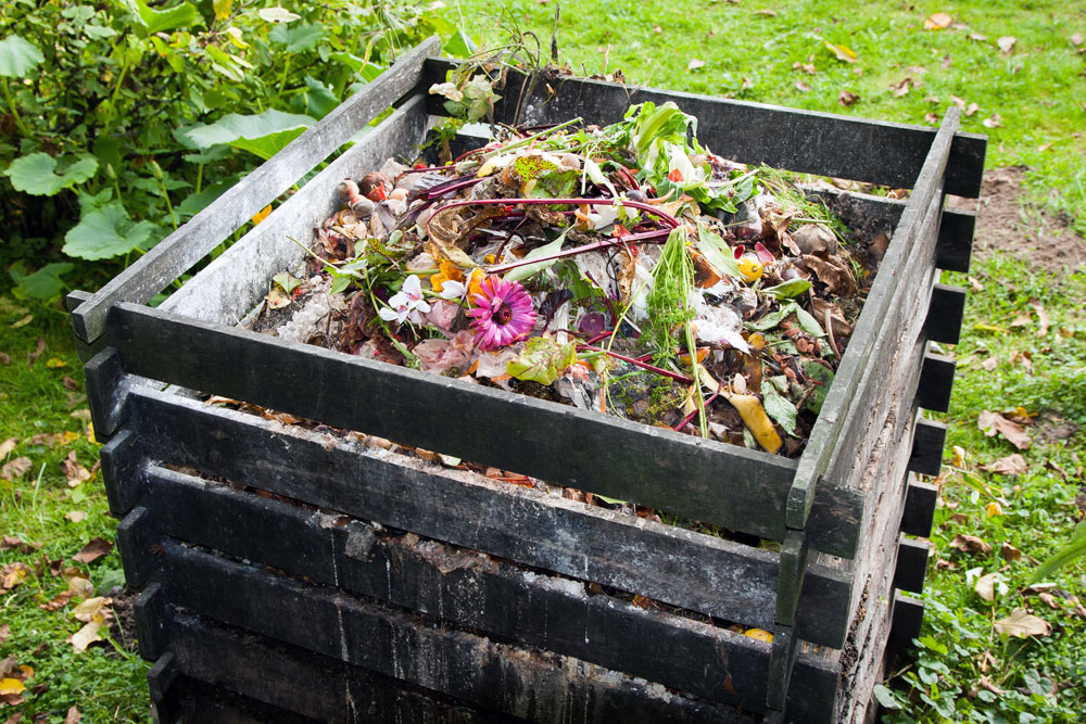 compost bin