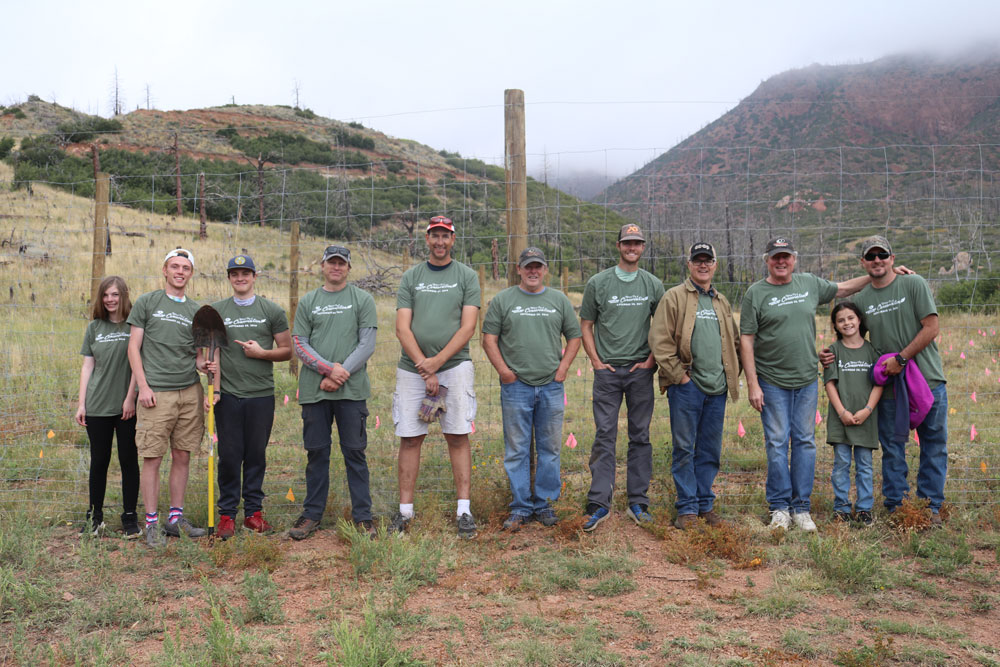 conservation planting