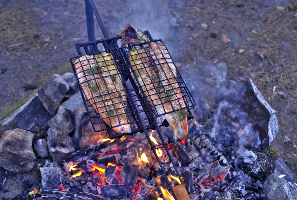 cooking fish over fire