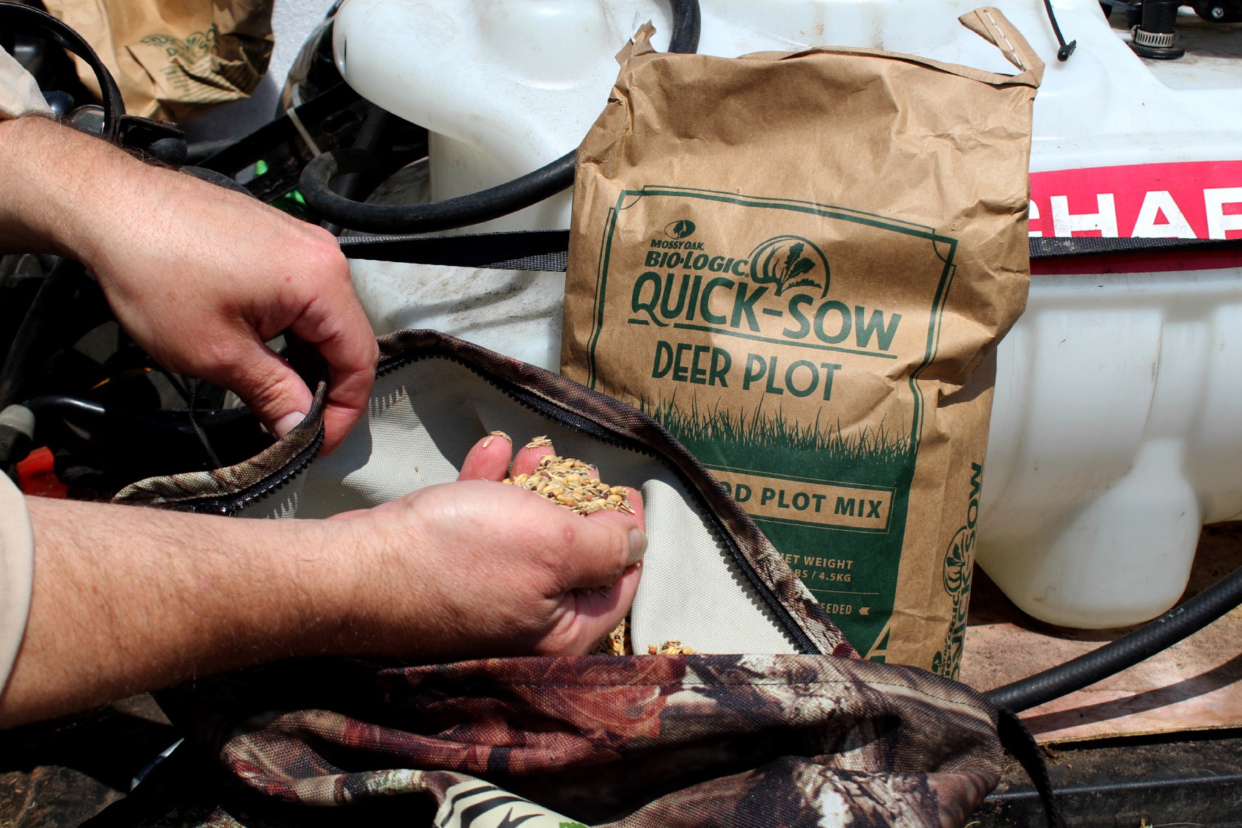 cool season food plots