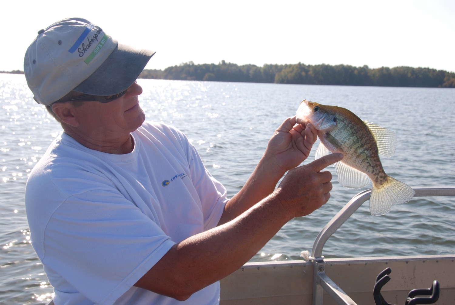 crappie