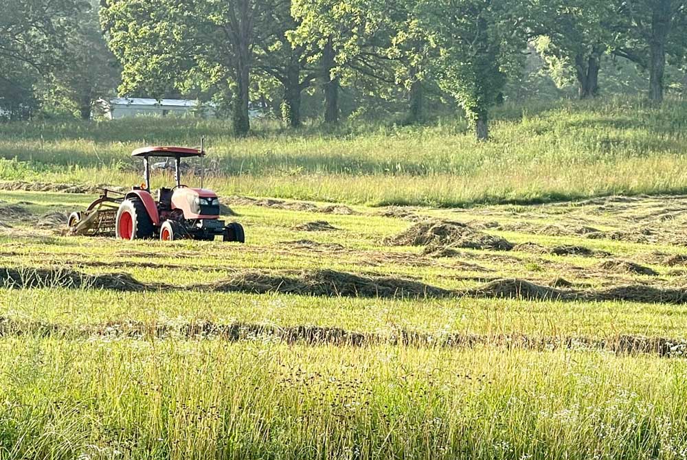 cutting hay