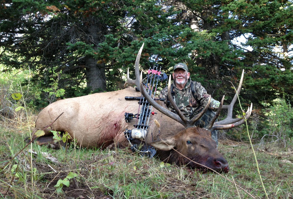 cuz's bull elk