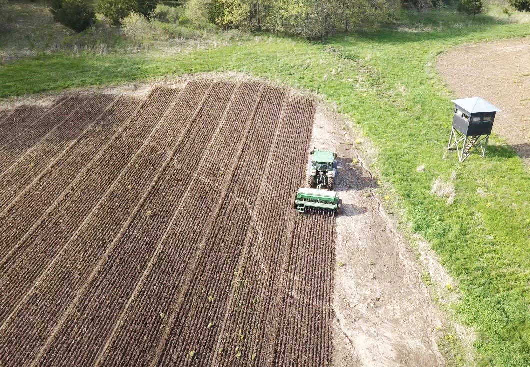 deer food plot