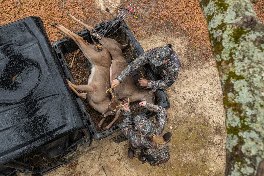 deer in atv