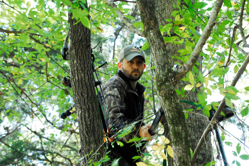 deer stand improvement