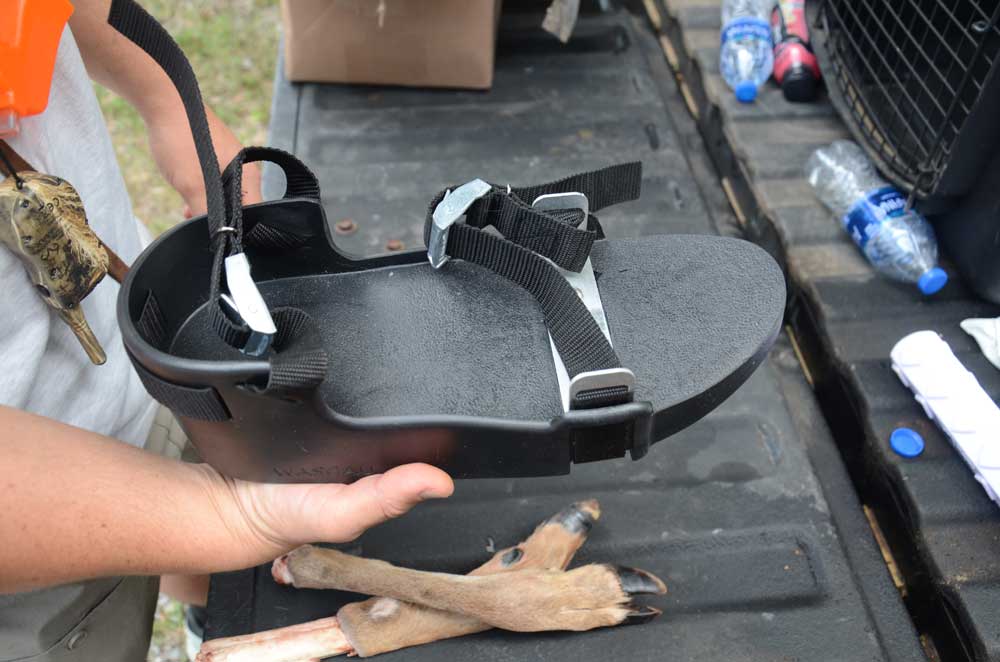 deer tracking shoe