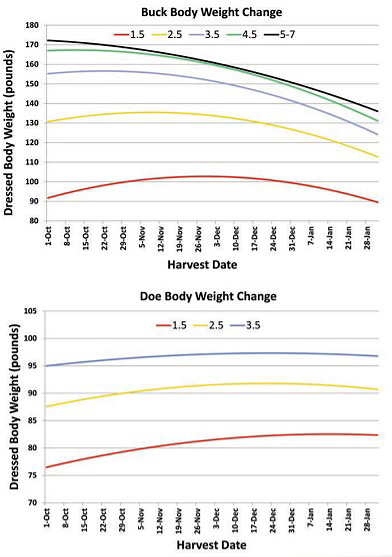 deer weight graph