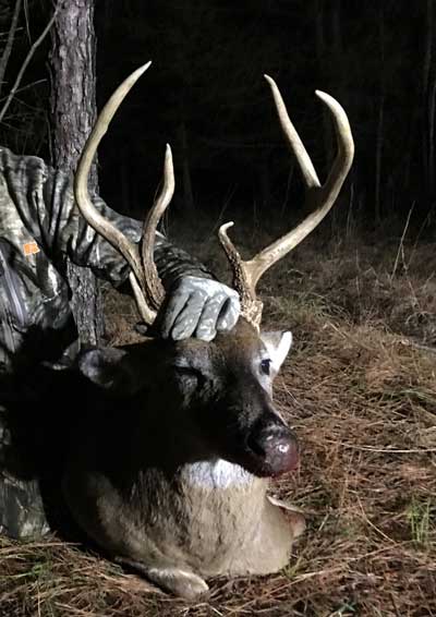 deer with deformed antlers